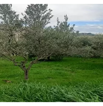 Foto annuncio 17