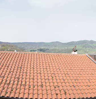 Foto annuncio 19