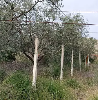 Foto annuncio 23