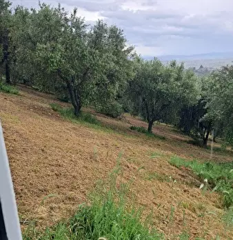 Foto annuncio 9