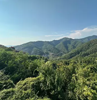 Foto annuncio 22