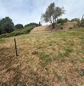 Foto annuncio 6