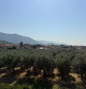 Foto annuncio 29