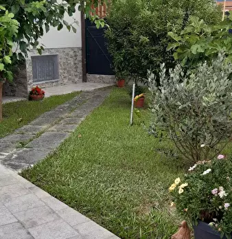 Foto annuncio 32