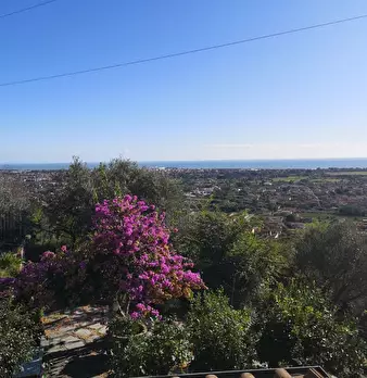 Foto annuncio 10