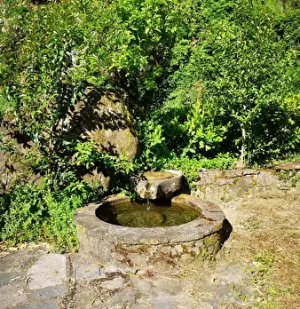 Foto annuncio 10