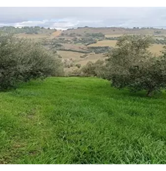 Foto annuncio 16