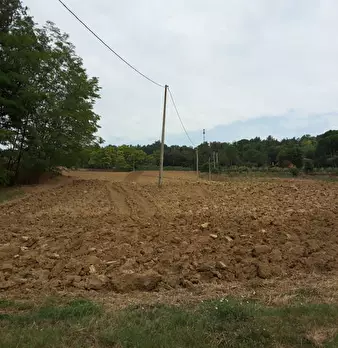 Foto annuncio 7