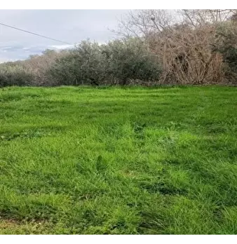 Foto annuncio 18