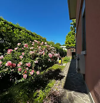 Foto annuncio 8
