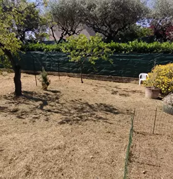 Foto annuncio 8