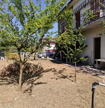 Foto annuncio 4