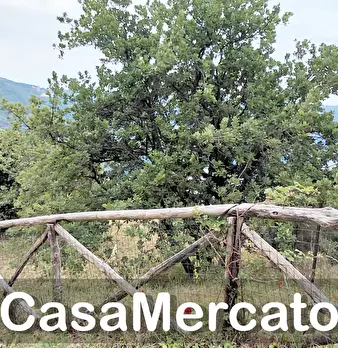 Foto annuncio 10