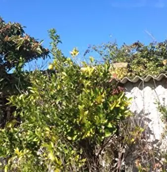 Foto annuncio 3