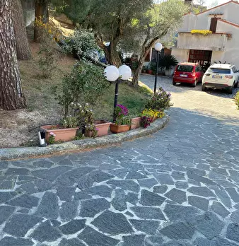 Foto annuncio 54
