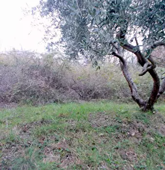 Foto annuncio 18