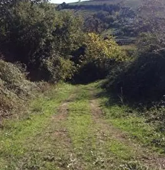 Foto annuncio 13