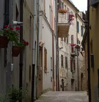 Foto annuncio 39