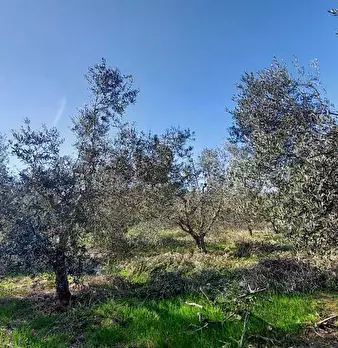 Foto annuncio 22