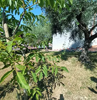 Foto annuncio 52