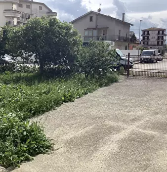 Foto annuncio 1