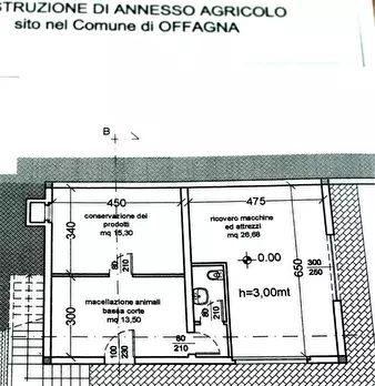 Foto annuncio 12