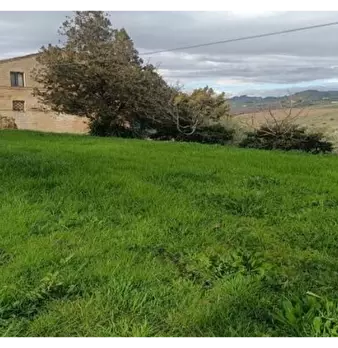 Foto annuncio 5