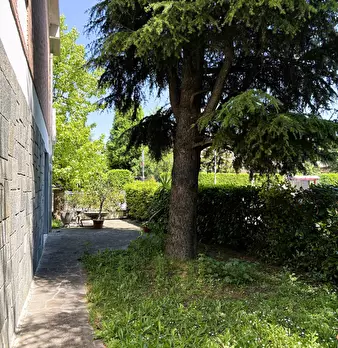 Foto annuncio 28