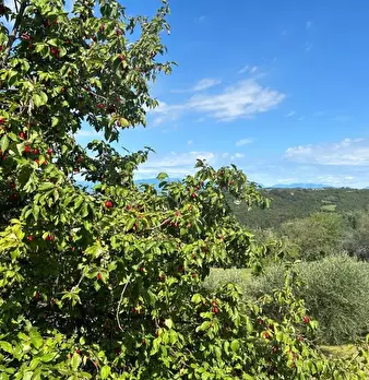 Foto annuncio 23