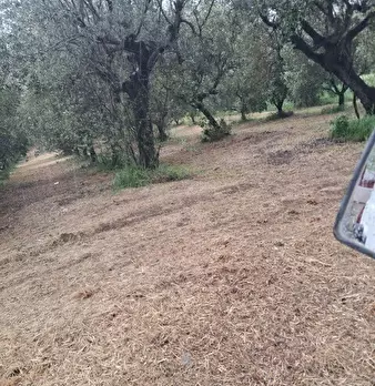 Foto annuncio 11