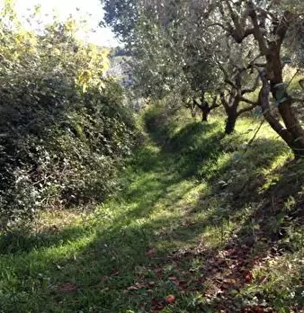 Foto annuncio 4