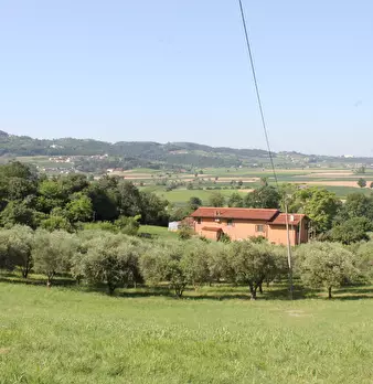 Foto annuncio 23