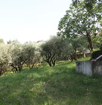 Foto annuncio 15