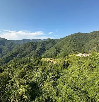 Foto annuncio 21