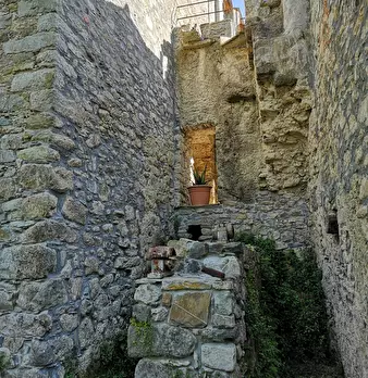 Foto annuncio 19