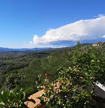 Foto annuncio 1