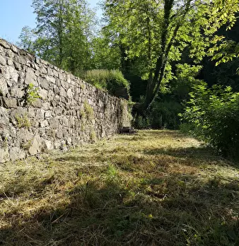 Foto annuncio 28