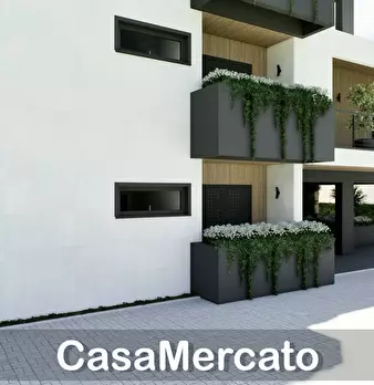 Foto annuncio 6