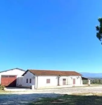 Foto annuncio 5