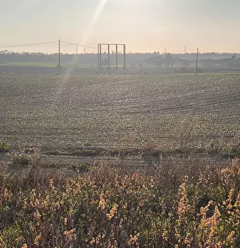 Foto annuncio 11