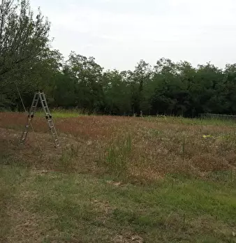 Foto annuncio 8