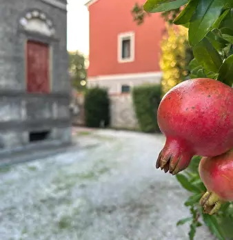 Foto annuncio 29