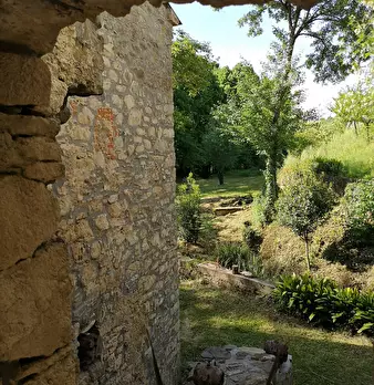 Foto annuncio 59