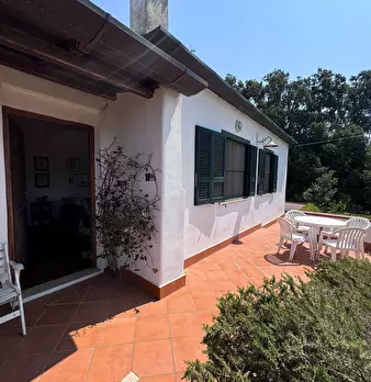 Foto annuncio 6