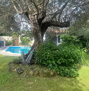 Foto annuncio 6