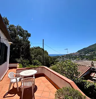 Foto annuncio 4
