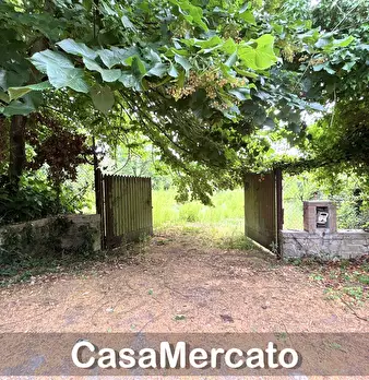 Foto annuncio 11