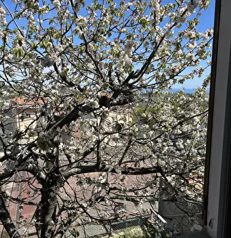 Foto annuncio 33