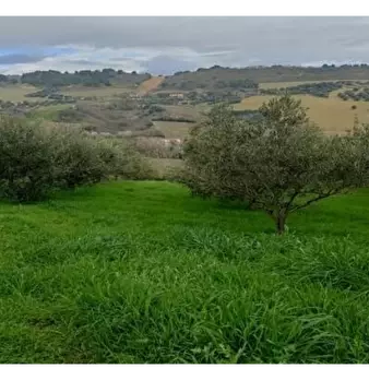 Foto annuncio 14