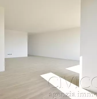 Foto annuncio 13